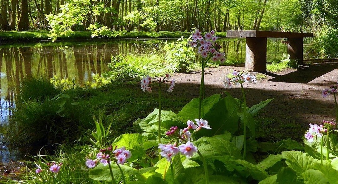 Fairhaven Gardens, United Kingdom, United Kingdom